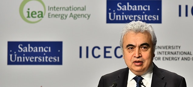 Europe saved $8 billion on gas bill in 2018 due to LNG, reforms: IEA