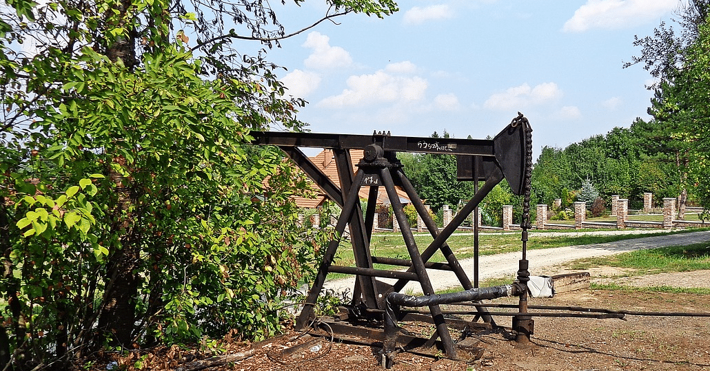 Oil and Gas Leases For Dummies 2020 Ranger Land & Minerals