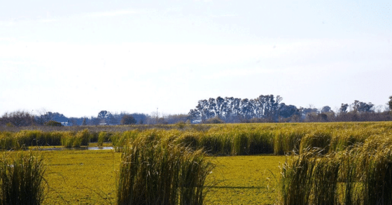 How to 1031 Exchange Ranches into Mineral Rights and Royalties