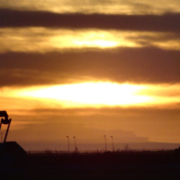 oil-rig-hottest-commodity