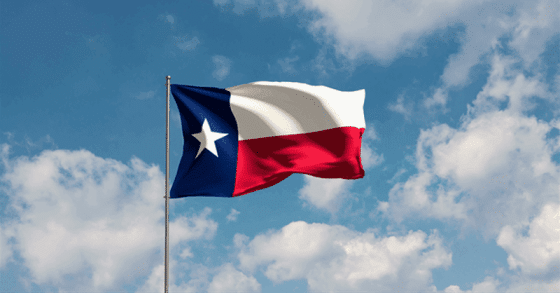 Texas oil regulator launches DOGE task force
