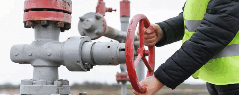 US associated natural gas output rose 6% in 2024, mirroring Permian crude oil production growth, according to the EIA.