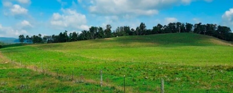 U.S. natural gas output hit a record 118.5 Bcf/day in 2025, led by growth in Permian, Appalachia and Haynesville.