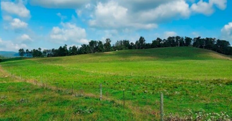 U.S. natural gas output hit a record 118.5 Bcf/day in 2025, led by growth in Permian, Appalachia and Haynesville.